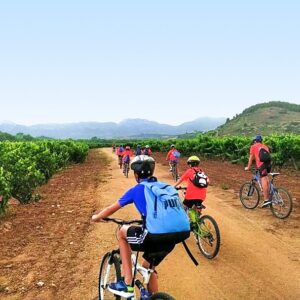 bici entre viñedos la rioja